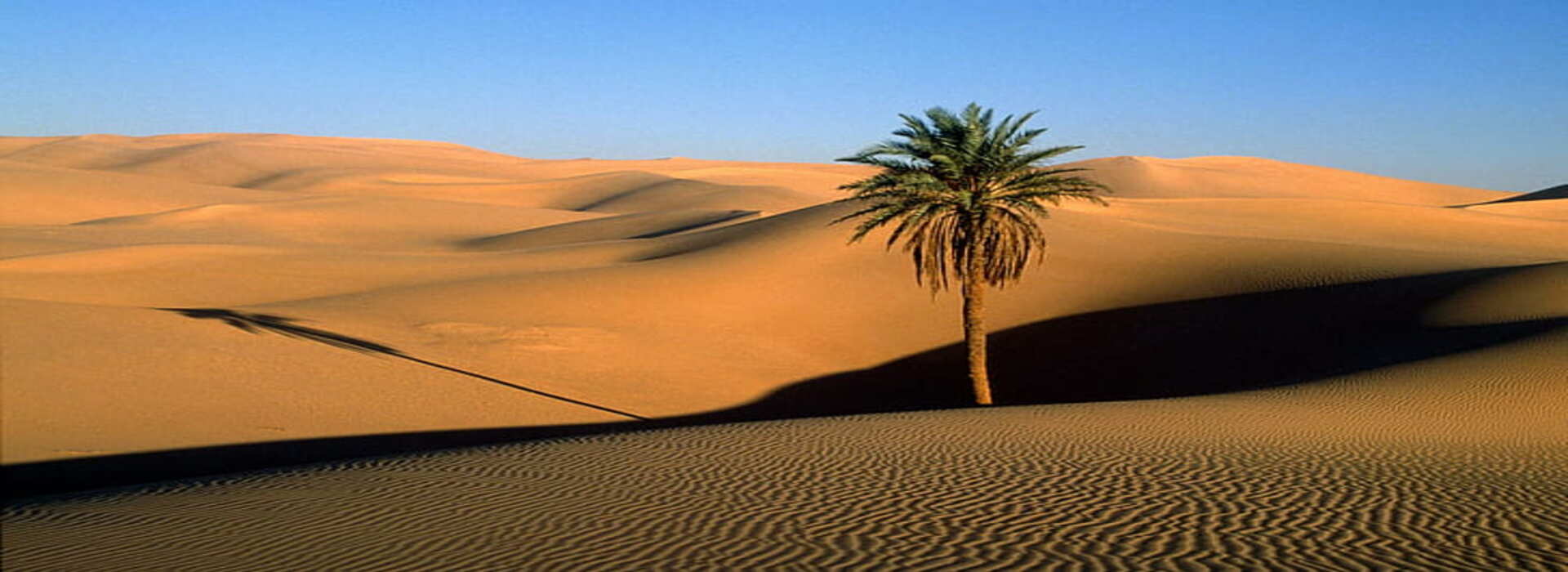 DUNES ET OASIS DU SUD MAROCAIN